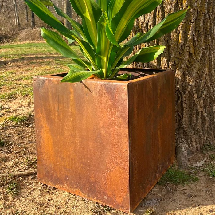 A rust-colored planter box holds vibrant green leaves, positioned beside a tree in a grassy area under natural sunlight.