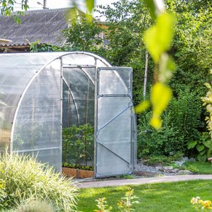 A greenhouse with an open door houses plants inside, surrounded by lush green grass and various plants in a sunny outdoor garden setting.