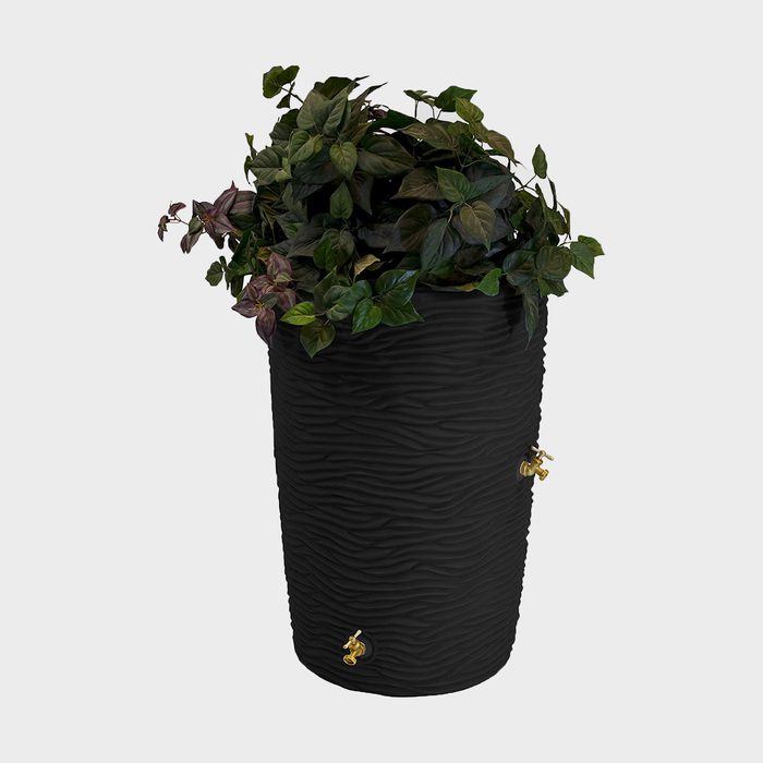 A textured black planter holds lush green and purple foliage, with brass spouts attached to its sides, against a neutral backdrop.