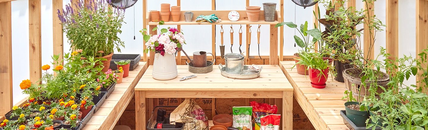A wooden greenhouse table is surrounded by various potted plants, gardening tools, and supplies, creating a vibrant and organized gardening space.