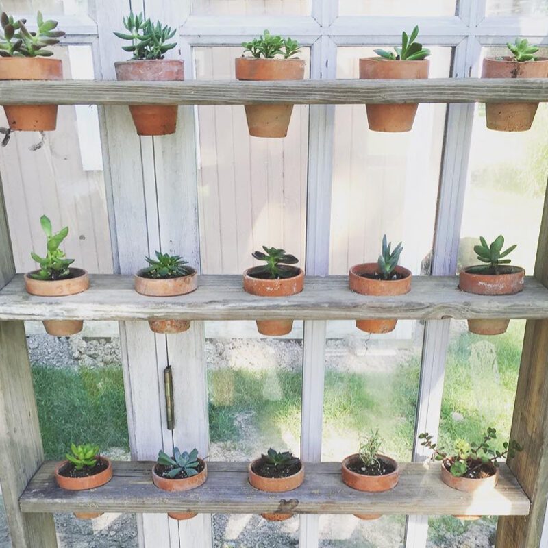 Cut Out Greenhouse Shelving Courtesy @jesskkramer Via Instagram