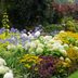 10 Shrubs That Add Seasonal Color To Your Garden