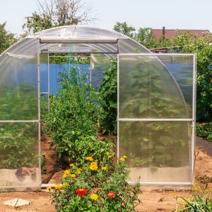 A greenhouse stands in a garden, filled with green plants and flowers, providing a controlled environment for growth amidst surrounding greenery.