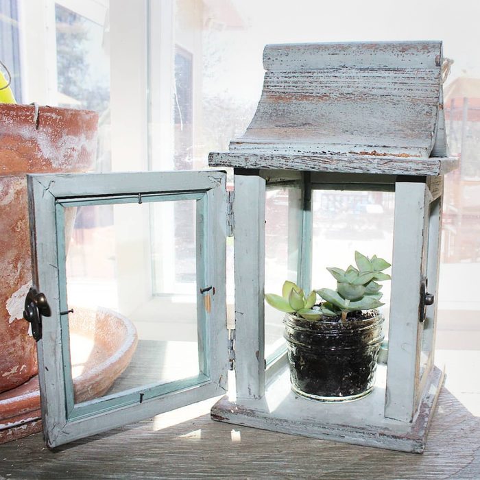 Mini Greenhouse Lantern Courtesy @krisreneeauthor Via Instagram