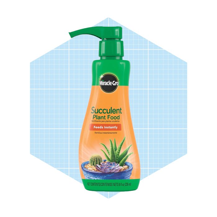 A green pump bottle of Miracle-Gro succulent plant food dispenses fertilizer. The background features a light blue grid pattern, enhancing the product's visibility.