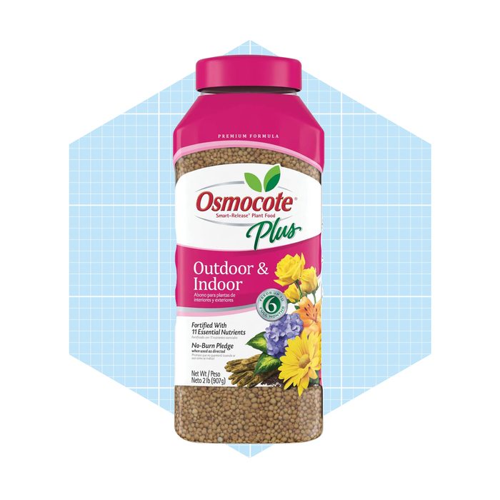 A container of Osmocote Plus plant food stands upright, labeled for outdoor and indoor use, featuring colorful flowers and essential nutrient information against a light blue background.
