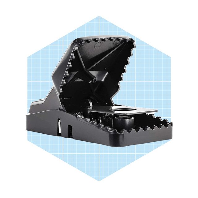 A black mouse trap is propped open, displaying its jagged biting edges; it rests against a light blue grid-patterned background.