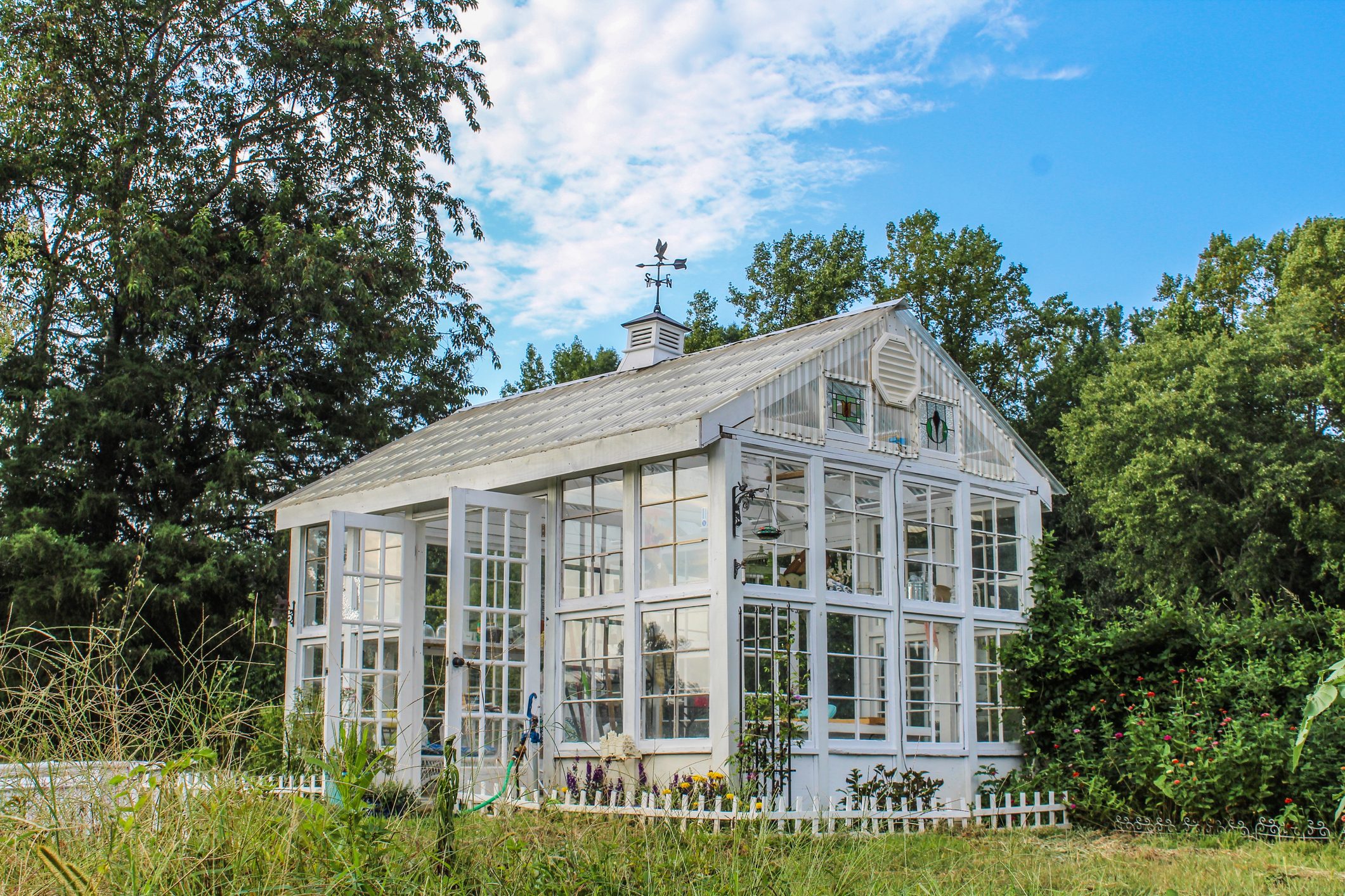 Unconventional Ideas for Greenhouses