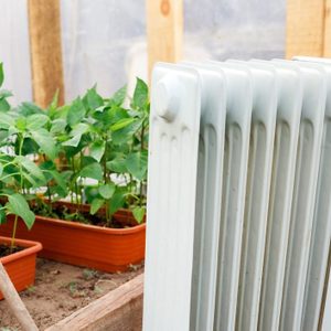 A white radiator stands next to thriving green plants in pots, providing warmth in a greenhouse environment with wooden framing and soil.