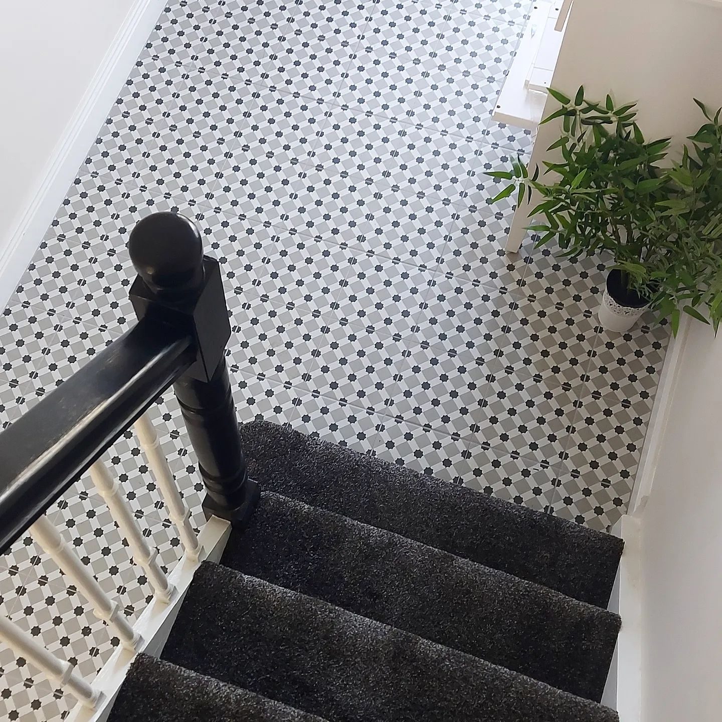 A black staircase descends carpeted steps, leading to a pattern-tiled floor. A potted plant is positioned nearby against a bright, white wall.