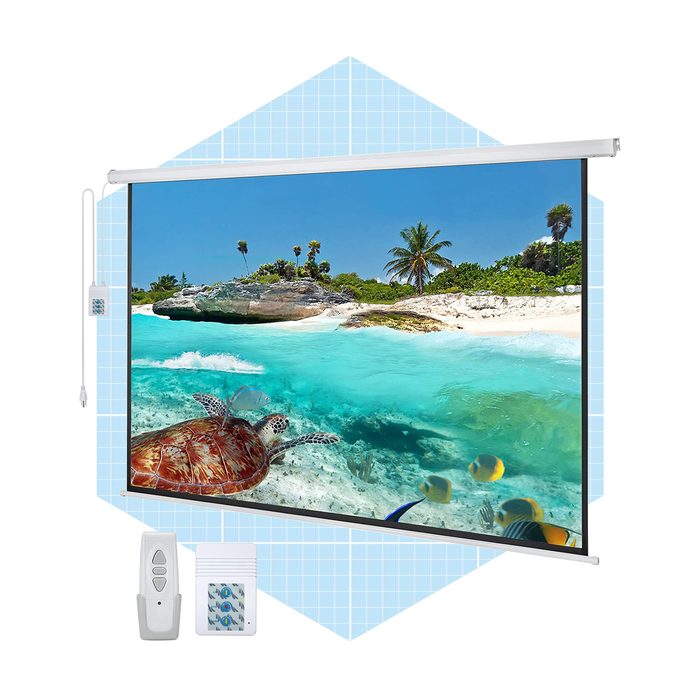 A projection screen displays a vibrant underwater scene with a turtle and fish, surrounded by tropical vegetation, accompanied by remote control devices below.
