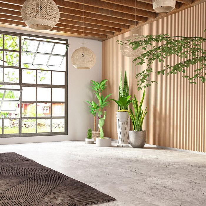 Unfurnished Cozy Bedroom With Wooden Wall windows and plants in the corner