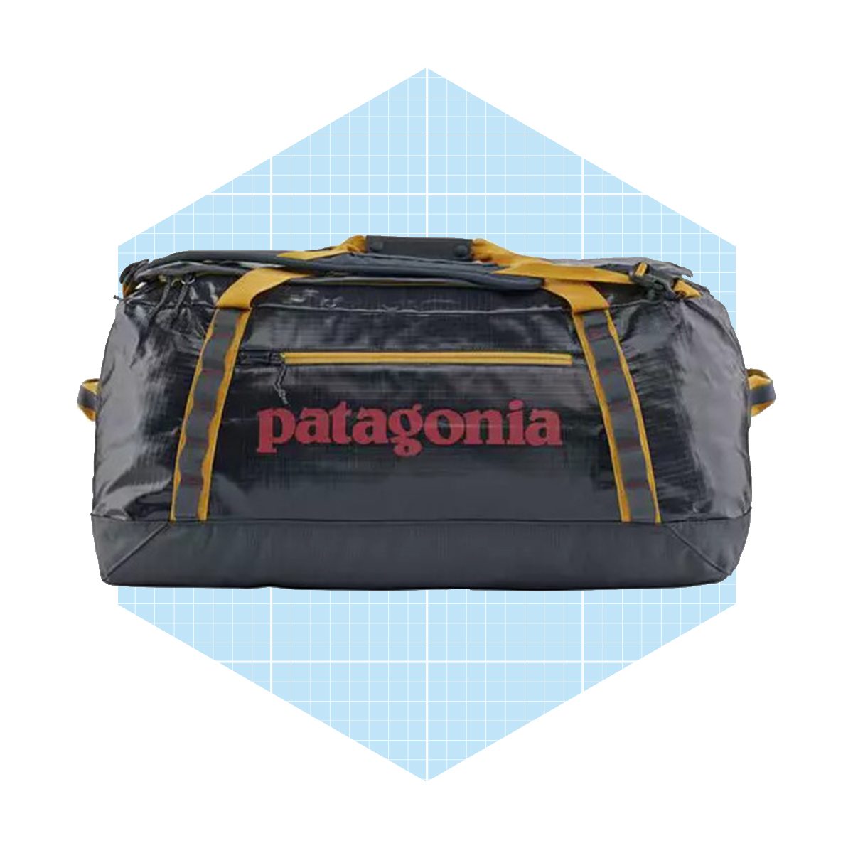 Patagonia Black Hole Duffel