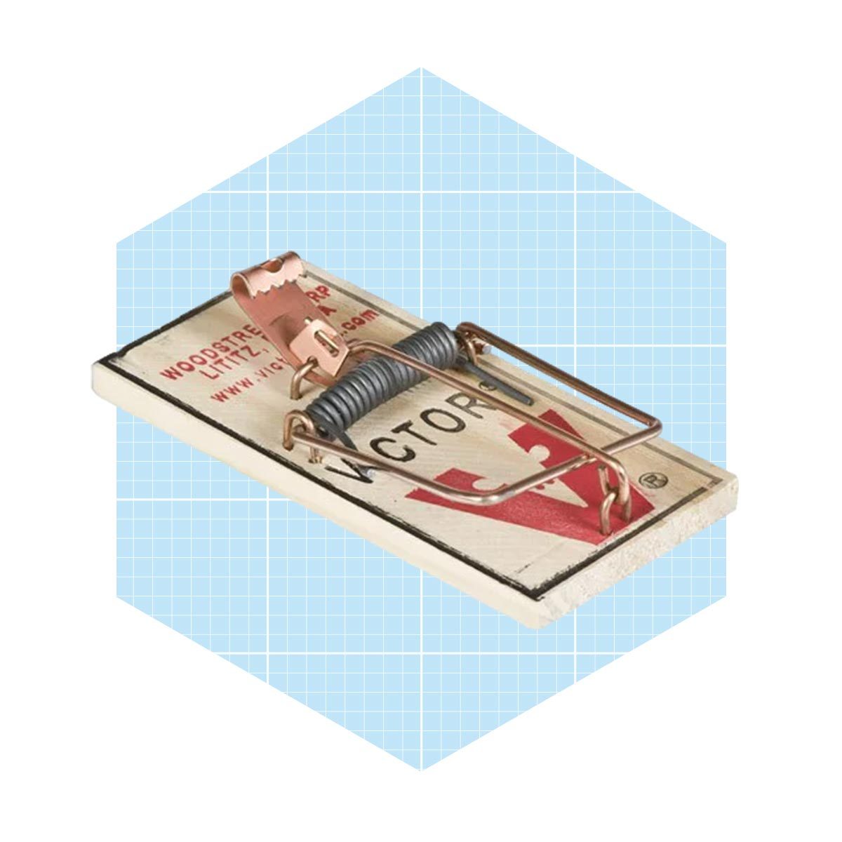 A wooden mouse trap is set, with a metal spring mechanism ready to snap shut. The background is a light blue grid pattern.