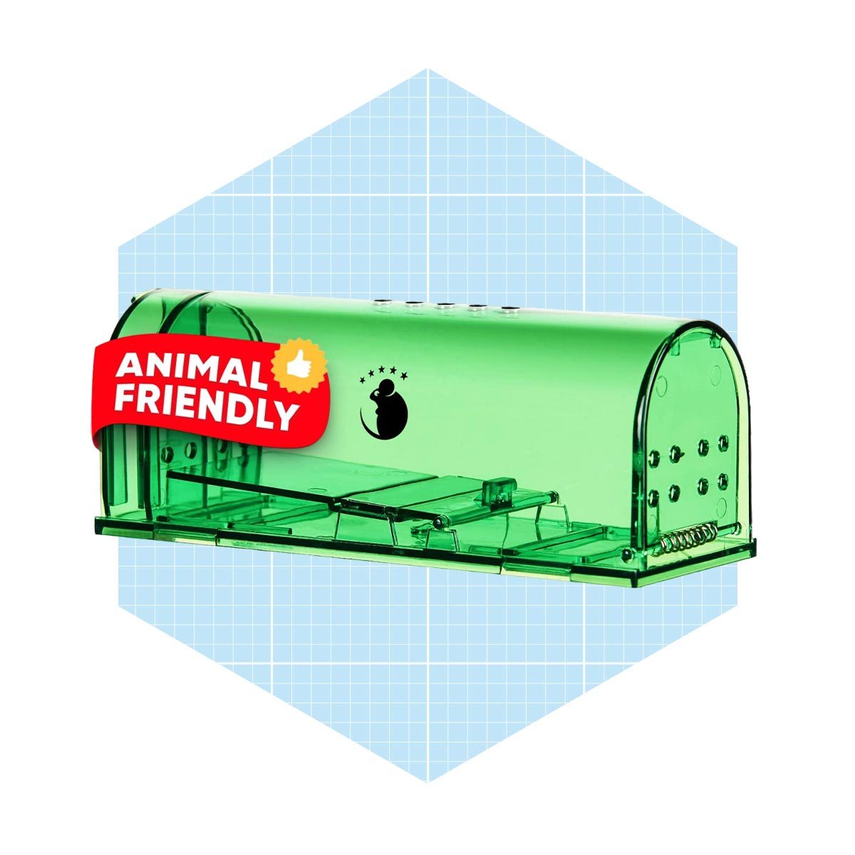 A green, transparent animal-friendly container sits on a light blue grid background, featuring a rounded top and sliding entrance.