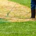 Should You Paint Your Lawn Green? What to Know About This Trend