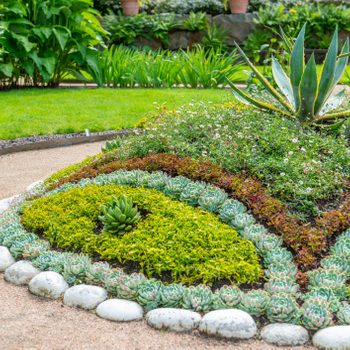 A circular flower bed displays various colorful succulents, complemented by decorative stones, in a lush garden surrounded by green grass and foliage.