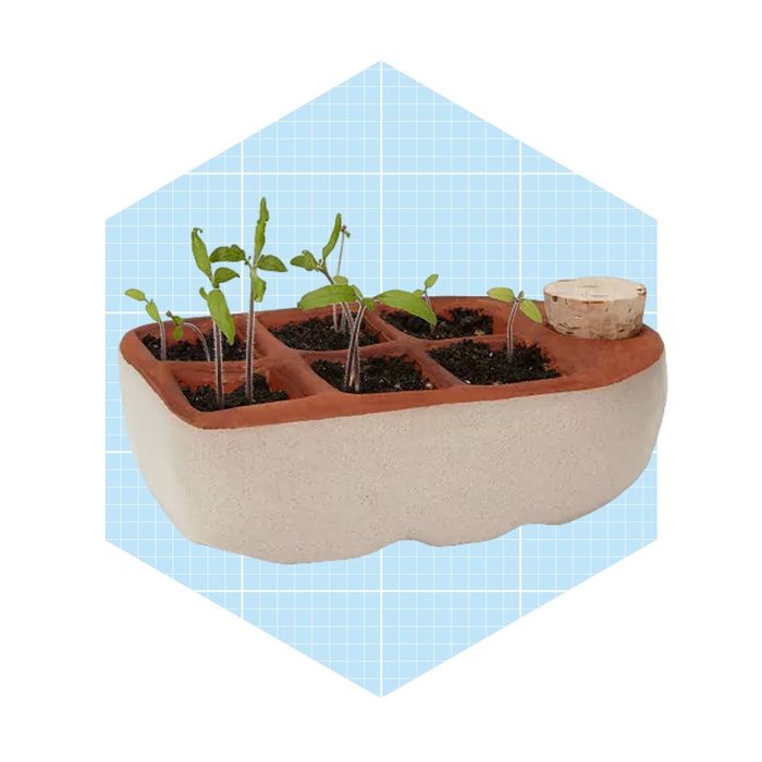 Self Watering Seedling Starter
