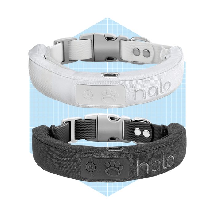 Two pet collars, one white and one black, are displayed side by side against a light blue grid background, showcasing their design and color contrast.