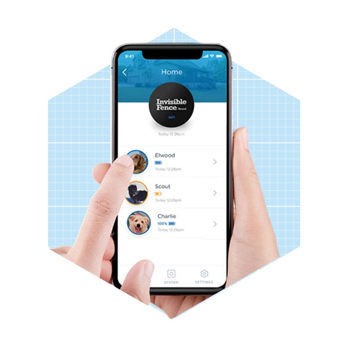 A hand interacts with a smartphone displaying a pet tracking app, featuring three dogs: Elwood, Scout, and Charlie, against a light blue grid background.