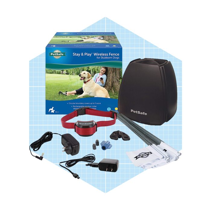 A wireless dog fence system consists of a receiver collar, transmitter, and various accessories, arranged around a box, set against a light blue grid background.
