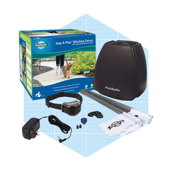 A wireless pet containment system includes a black collar, transmitter, and accessories, set against a light blue grid background, ideal for keeping pets safely contained.
