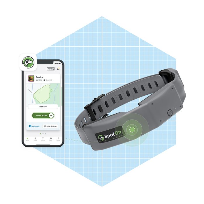 A dog collar is displayed with a smartphone screen showing a mapping interface, indicating it is connected for GPS tracking in a grid-patterned background.
