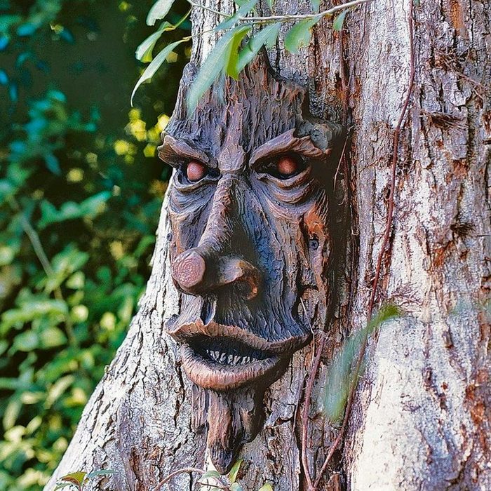 A carved human-like face protrudes from a tree trunk, appearing expressive and alert, surrounded by green leaves and a natural wooded environment.