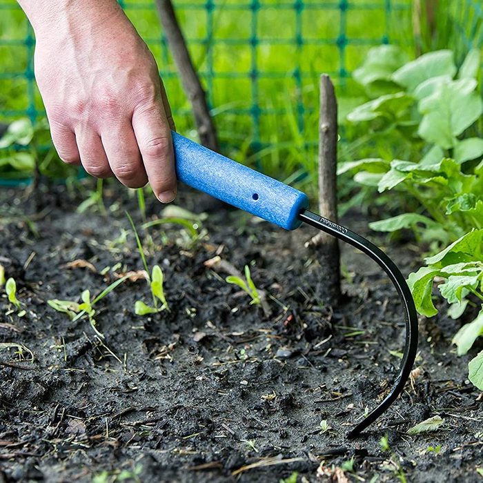 A hand grips a blue-handled gardening tool, weeding in dark soil among small green plants, with a background of greenery and a fence.