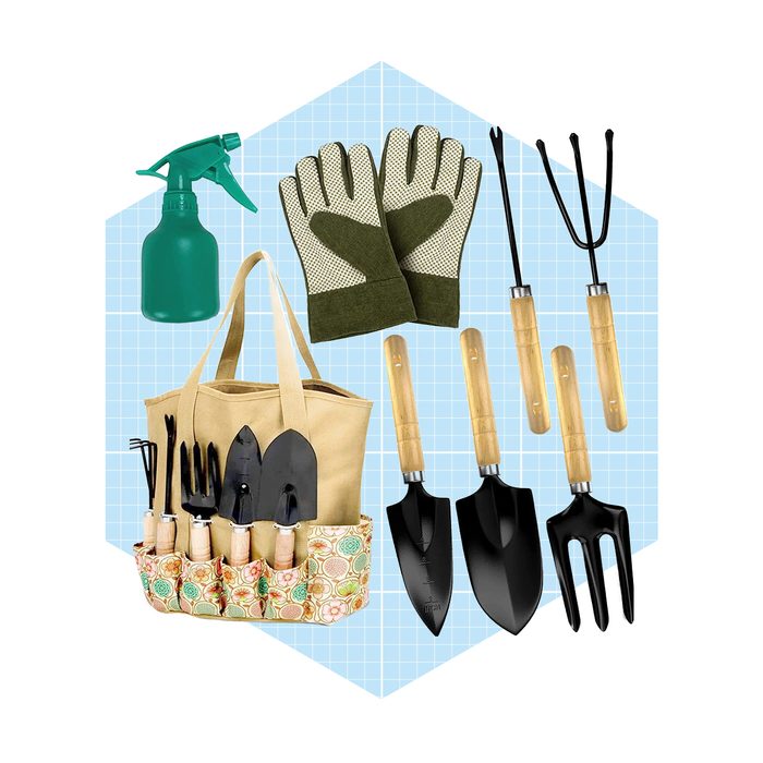 A gardening kit contains a spray bottle, gloves, tools, and a tote bag, arranged against a blue grid background, ready for planting activities.