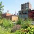 These Are the Best Cities for Plant Lovers, According to a Survey