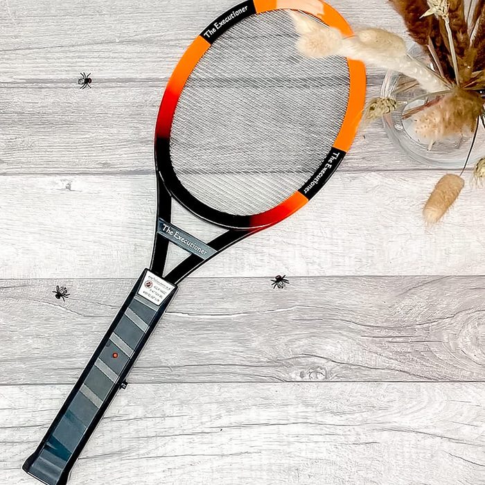 A bug zapper racket lies on a wooden surface, targeting small ants nearby, surrounded by decorative dried plants in a glass container.