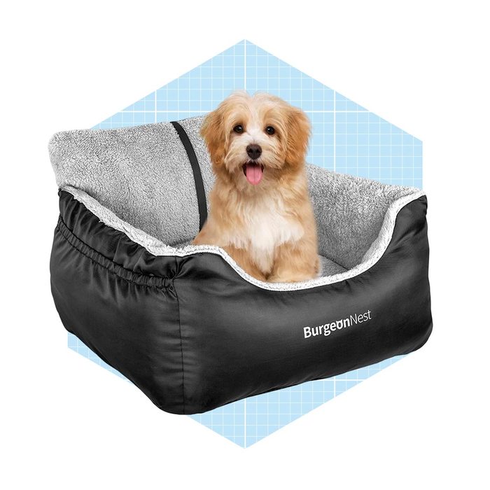 A small, fluffy dog sits comfortably in a black pet bed with a soft gray interior, set against a light blue geometric background.