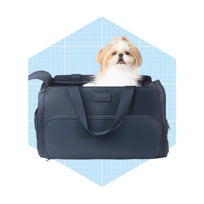 A small dog sits calmly in a navy bag with straps, positioned against a light blue grid background.