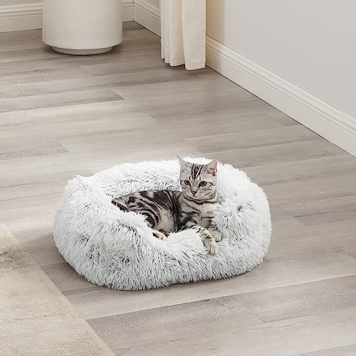A gray-striped cat relaxes in a fluffy white pet bed, surrounded by wooden flooring and soft-colored walls with curtains nearby.