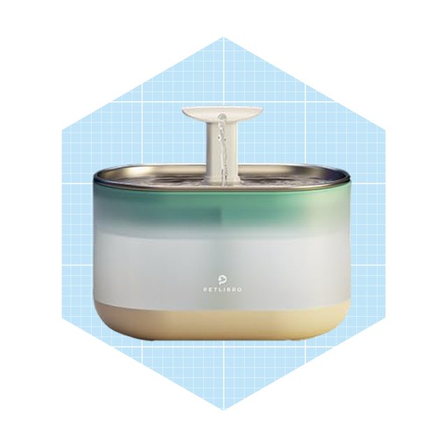 A stylish pet water fountain circulates water, providing hydration. The device features a gradient design with a small spout, placed against a blue grid background.