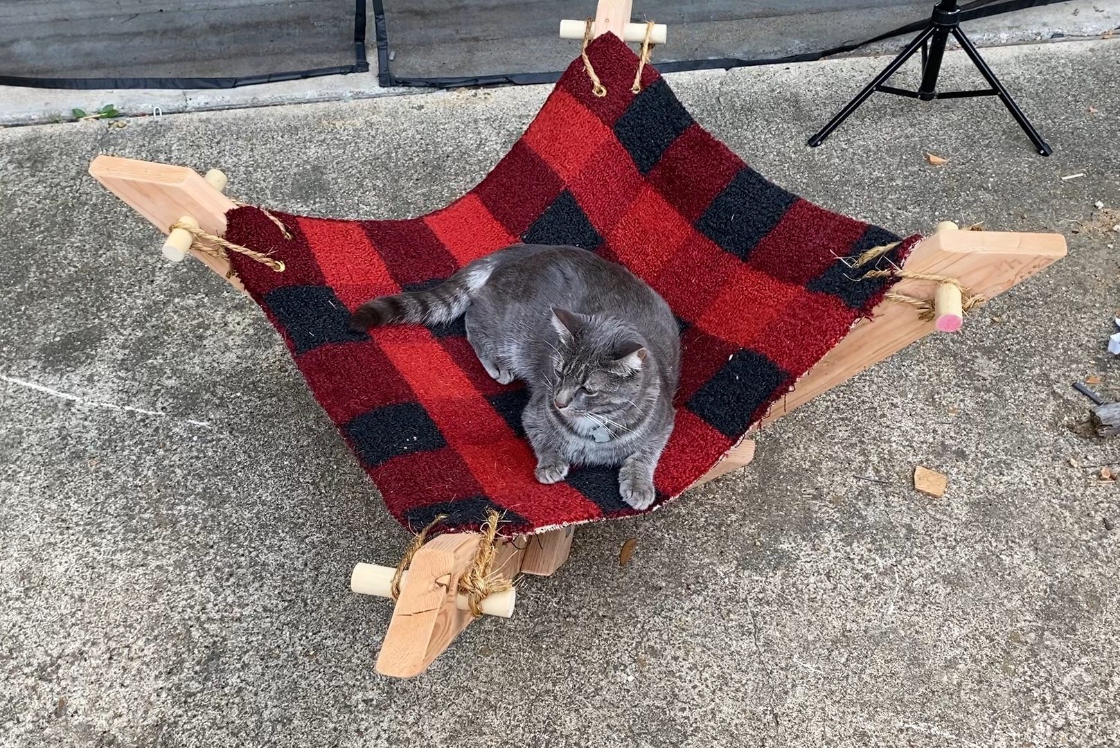 A gray cat rests on a red and black checkered fabric hammock, supported by wooden frames, placed on a concrete surface.