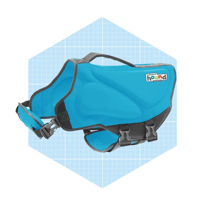 A blue dog harness is shown, designed for comfort and security, resting against a pale blue grid background, featuring adjustable straps and buckles.