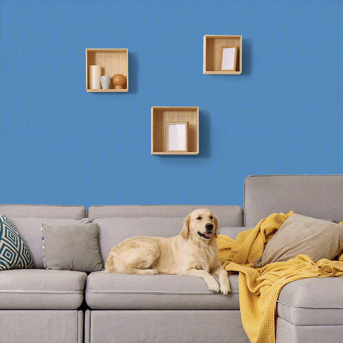 Amazon’s Paint Finder Makes It Easy to Pick the Perfect Color