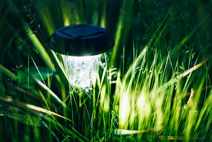 Small Solar Garden Light, Lantern In Flower Bed. Garden Design.