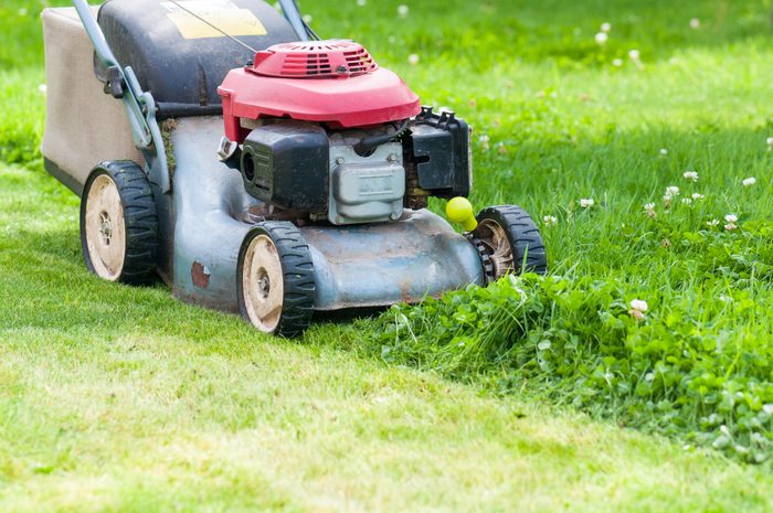 lawn mowing