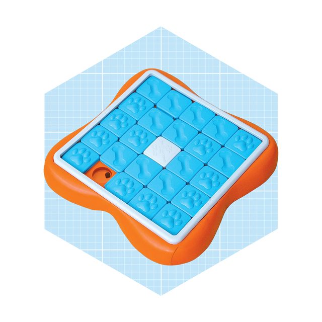 A blue puzzle board with paw print and bone-shaped tiles is displayed on a light blue grid background, designed for engaging play or training activities.