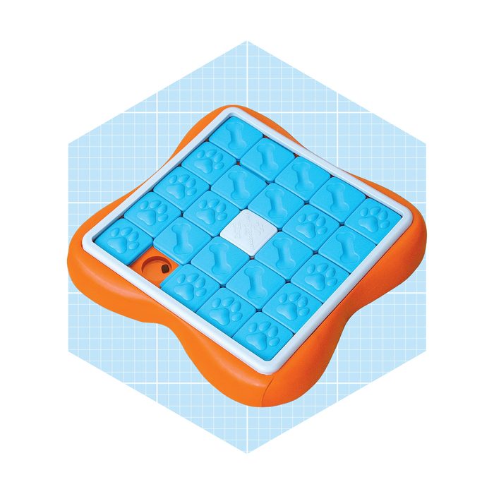 A blue puzzle board with paw print and bone-shaped tiles is displayed on a light blue grid background, designed for engaging play or training activities.
