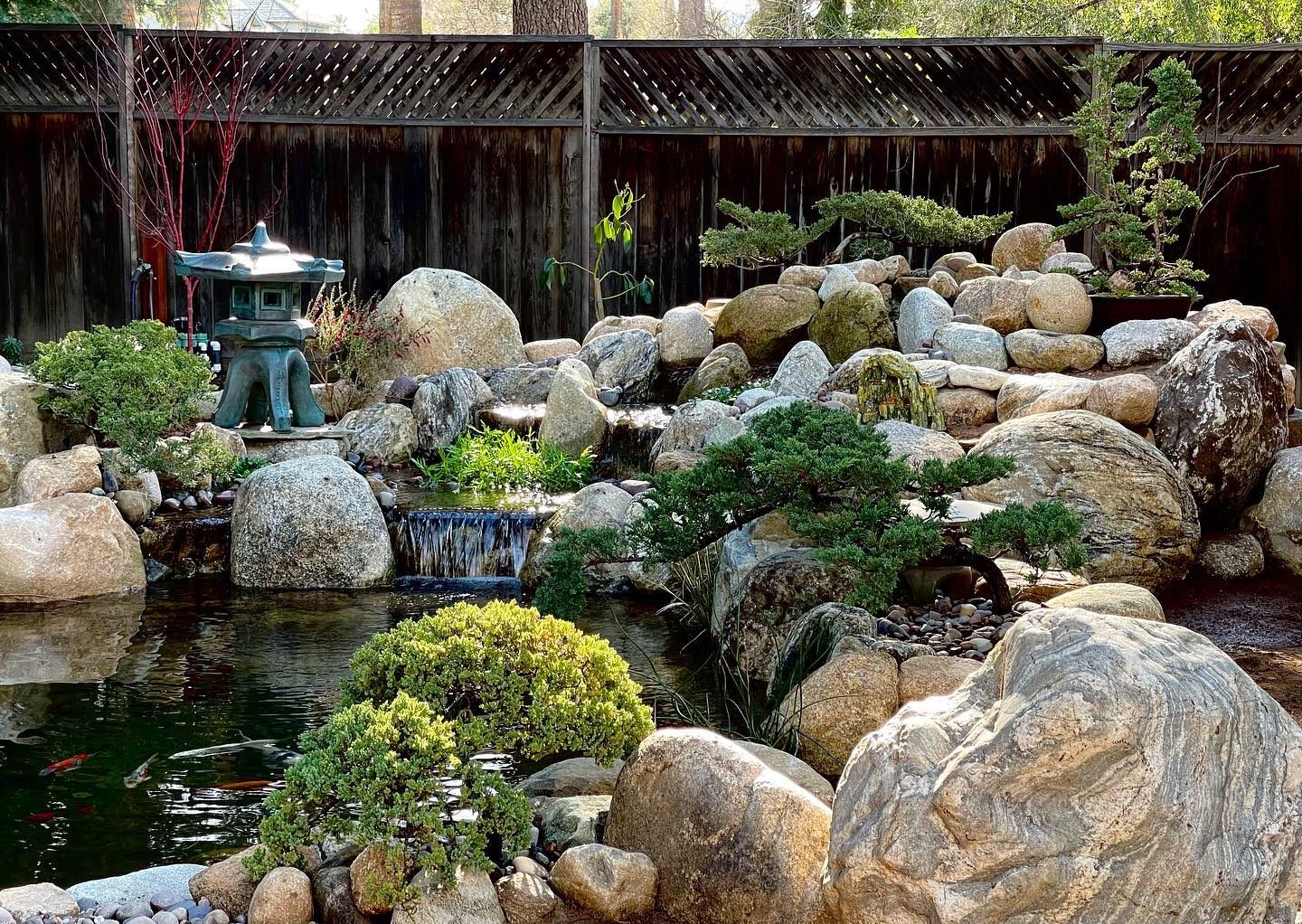 Japanese Koi Pond