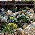 8 Backyard Koi Pond Ideas
