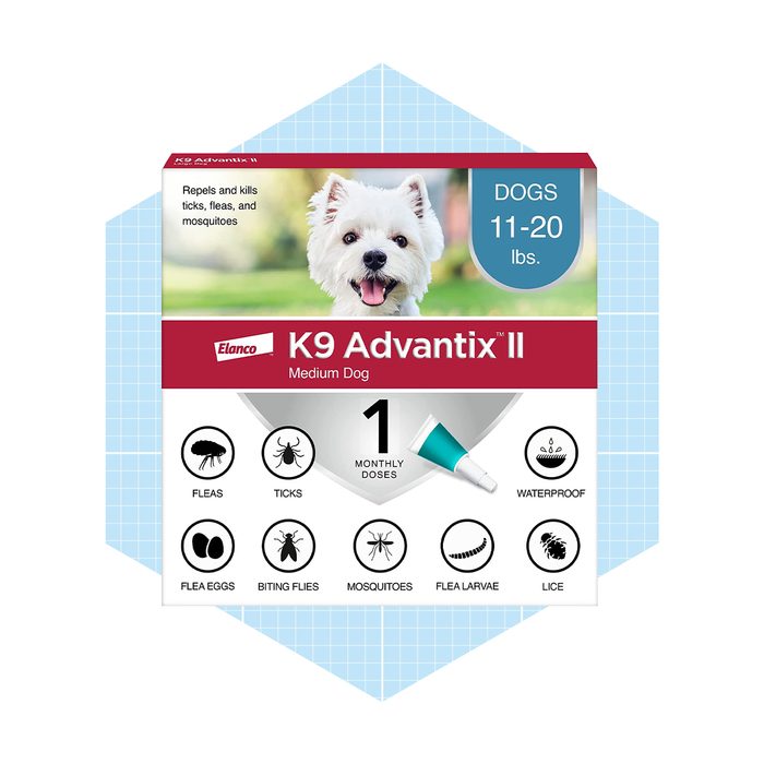 A dog care product box displays a small dog image, advertises tick, flea, and mosquito protection, and suggests convenience with one monthly dose.