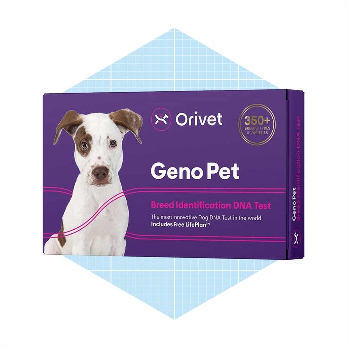A DNA test kit for dogs, featuring a dog's image, labeled 