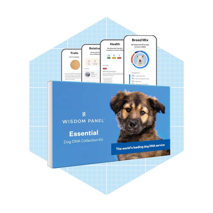 A dog DNA collection kit is prominently displayed, showcasing a dog image on the box against a light blue grid background.