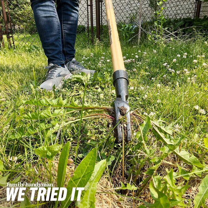 A weeder tool is poised in grass, extracting weeds, with a person's feet visible nearby. The setting is a garden surrounded by a fence.
