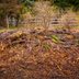 Hugelkultur Raised Bed vs. Traditional: Which Is Better for Your Garden?